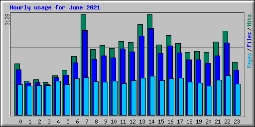 Hourly usage for June 2021