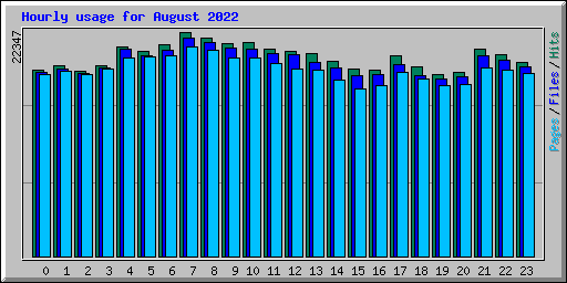 Hourly usage for August 2022