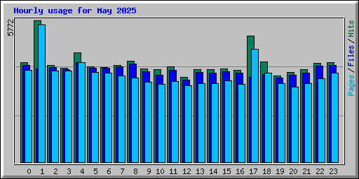 Hourly usage for May 2025
